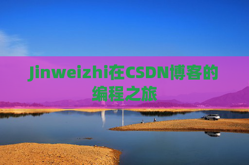 Jinweizhi在CSDN博客的编程之旅